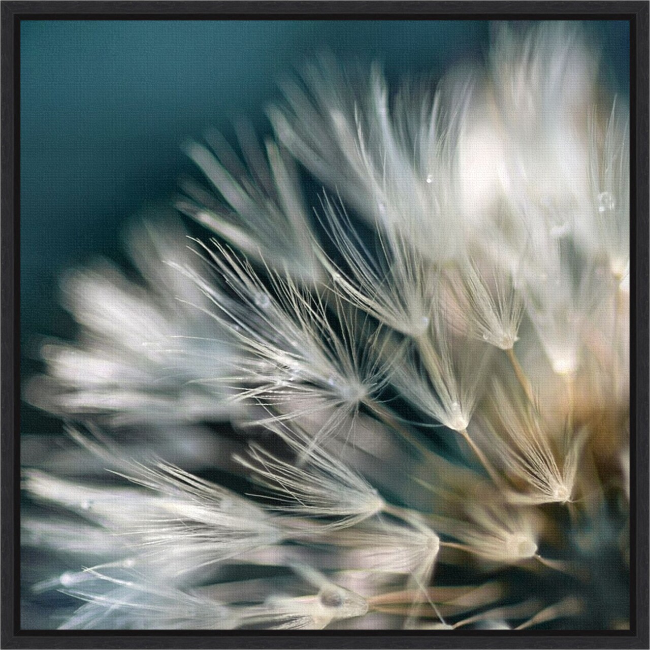 Dandelion Dreams I by Irene Miller 16-in. W x 16-in. H. Canvas Wall Art Print Framed in Black